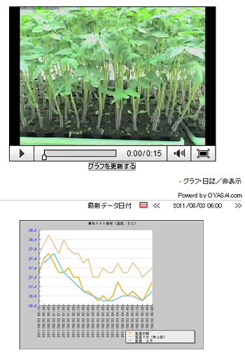 ムービーとグラフ