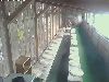 栃木県最初の足湯