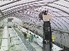 H24前期養液栽培高糖度トマト（全景）